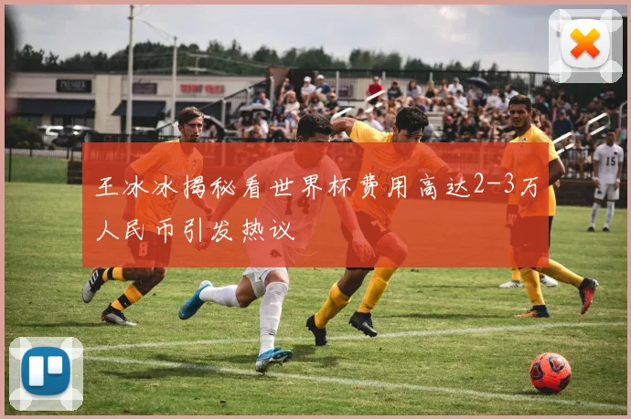 王冰冰揭秘看世界杯费用高达2-3万人民币引发热议